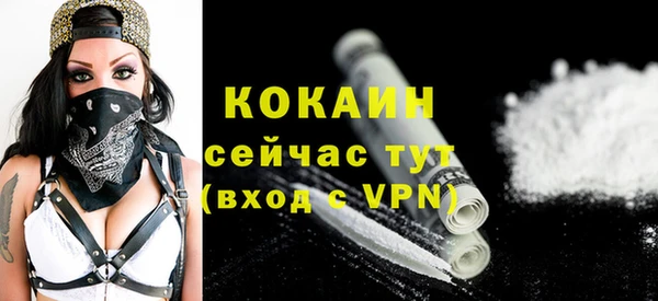 мдпв Валдай
