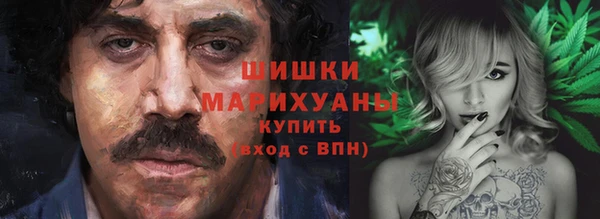 молекула духа Гусиноозёрск