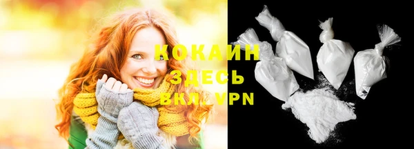 молекула духа Гусиноозёрск