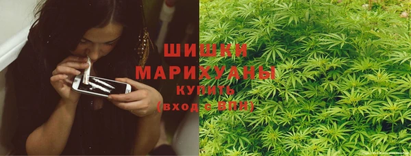 молекула духа Гусиноозёрск