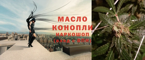 молекула духа Гусиноозёрск