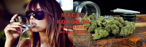 молекула духа Гусиноозёрск